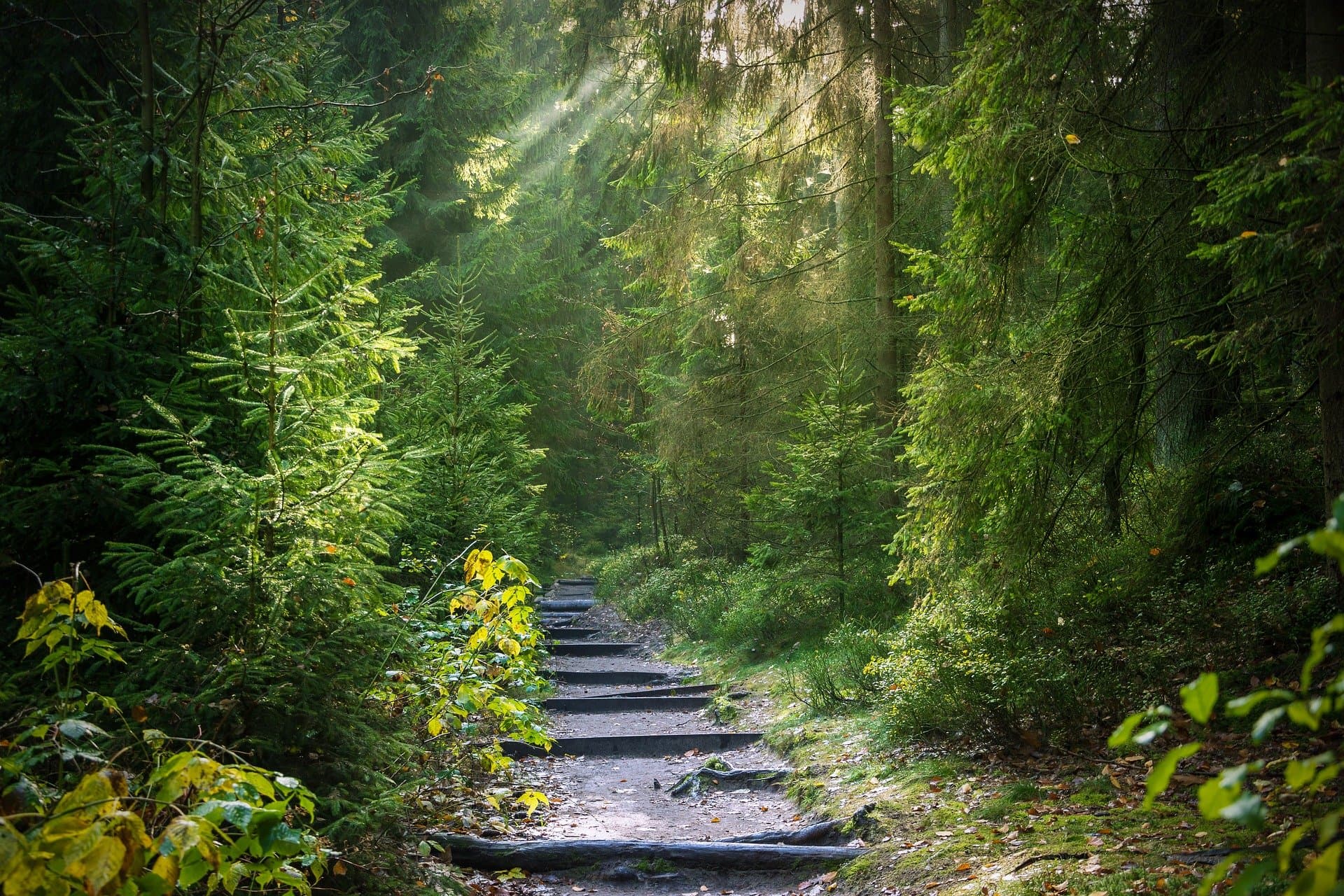 Ilustrační foto: Pixabay